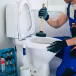 WC bouché en urgence : que faire ? | DCPRO91
